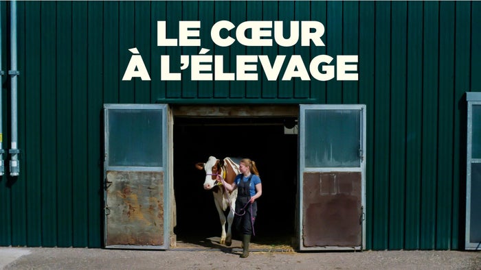 Le coeur à l'élevage on JioTV