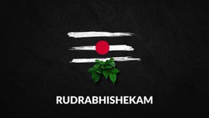 Rudrabhishekam on SVBC3 - future program