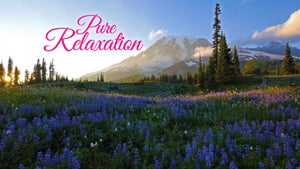 Pure Relaxation on Stingray Naturescape - past program