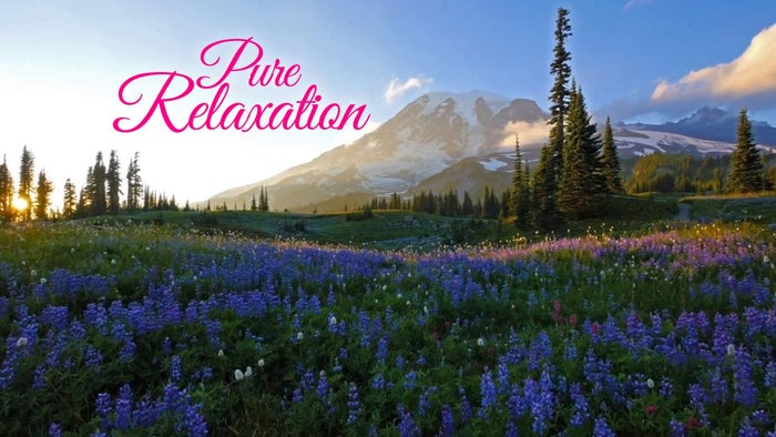 Pure Relaxation on JioTV