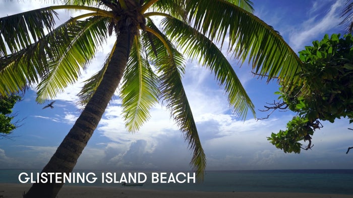 Glistening Island Beach on JioTV