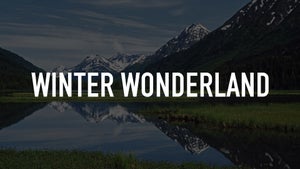 Winter Wonderland on Stingray Naturescape - past program