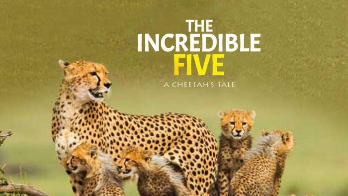 The Incredible Five - A Cheetah's Tale on JioTV