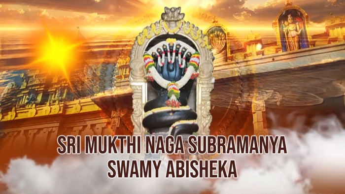 Sri Mukthinaga Subramanya Abishekam, Hariharapura, Karnataka on JioTV