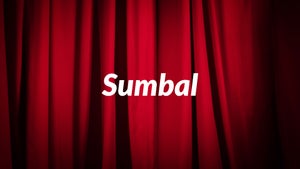 Sumbal on DD Kashir - future program