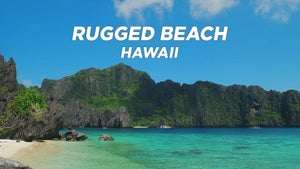 Rugged Beach: Hawaii on Stingray Naturescape - past program