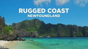 Rugged Coast: Newfoundland on Stingray Naturescape - live program