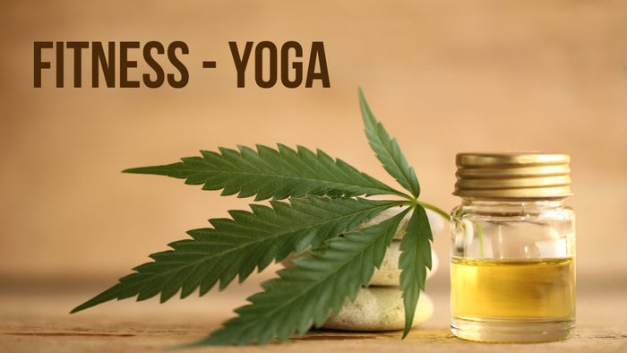 Fitness - Yoga on JioTV