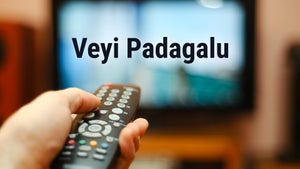 Veyi Padagalu on DD Saptagiri - future program