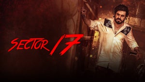 Sector 17 on Pitaara - future program