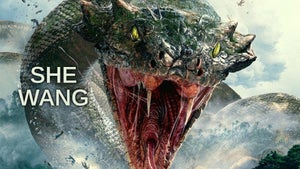 She Wang on Star Gold Thrills - past program