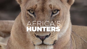 Africa's Hunters Episode 3 on Animal Planet HD Telugu - past program