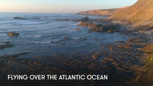 Flying Over the Atlantic Ocean on Stingray Naturescape - past program