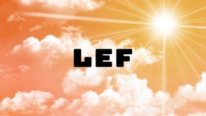 LEF on Nambikkai - future program