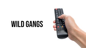 Wild Gangs on Animal Planet HD English - past program