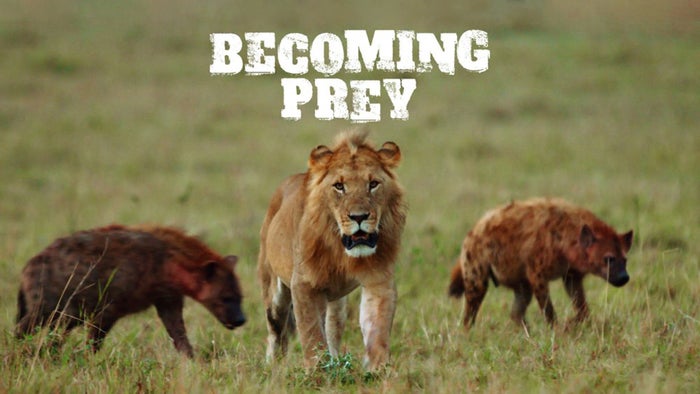 Becoming Prey on JioTV