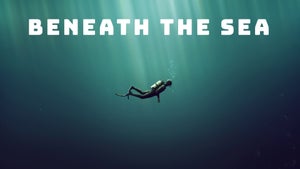 Beneath the Sea on Stingray Naturescape - past program