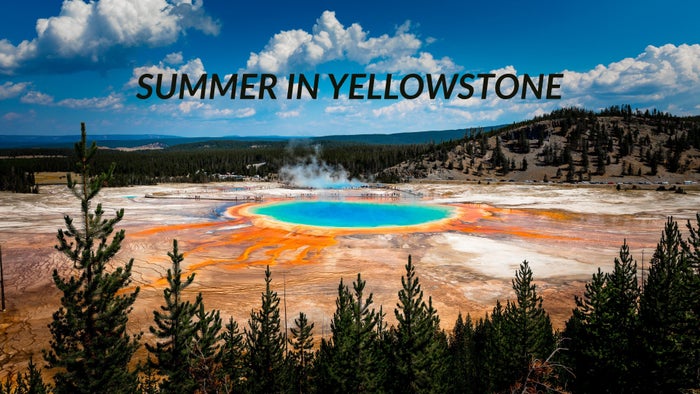 Summer in Yellowstone on JioTV