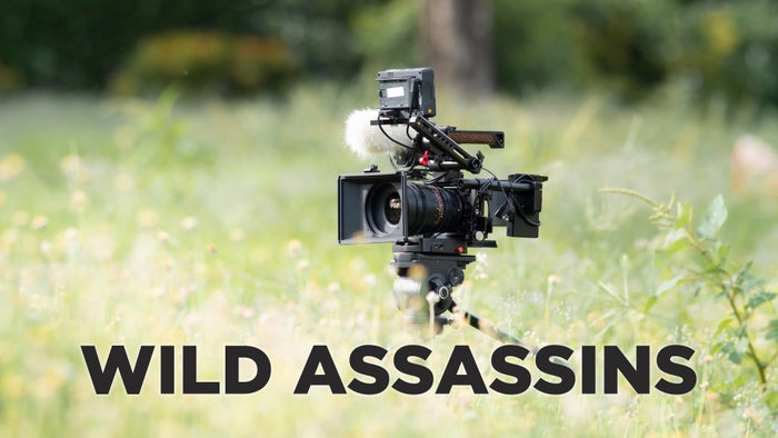 Wild Assassins on JioTV