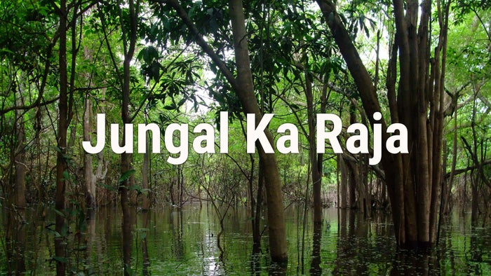 Jungle Ka Raja on JioTV