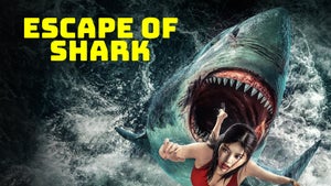 Escape of Shark on And Prive HD - future program