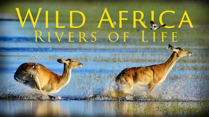 Wild Africa: Rivers of Life Episode No.5 on JioTV
