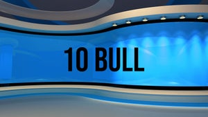 10 Bull on News State Punjab Haryana Himachal - future program