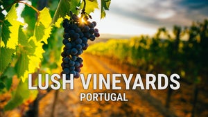 Lush Vineyards: Portugal on Stingray Naturescape - past program