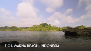 Tiga Warna Beach: Indonesia on Stingray Naturescape - live program