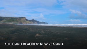 Auckland Beaches: New Zealand on Stingray Naturescape - future program