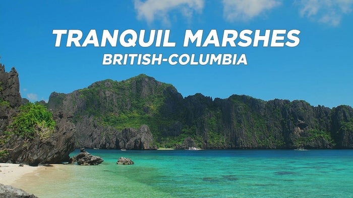 Tranquil Marshes: British-Columbia on JioTV