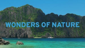 Wonders of Nature on Stingray Naturescape - future program