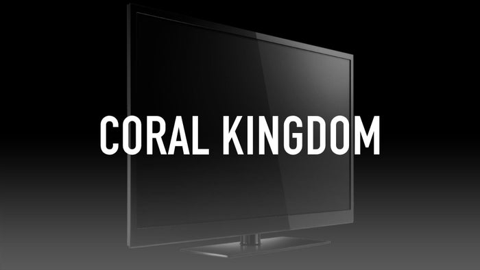 Coral Kingdom on JioTV