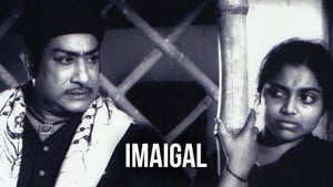 Imaigal on Sun Life - future program