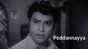 Peddannayya on Gemini TV HD - past program
