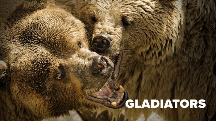 Wild Survivors Episode No.2 on JioTV