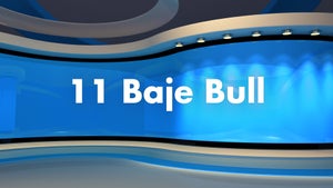 11 Baje Bull on News State Punjab Haryana Himachal - future program