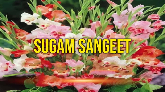 Sugam Sangeet on JioTV