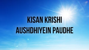 Kisan Krishi Aushdhiyein Paudhe on DD Kisan - future program