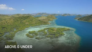 Above & Under on Stingray Naturescape - future program