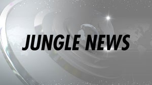 Jungle News on News Nation - live program