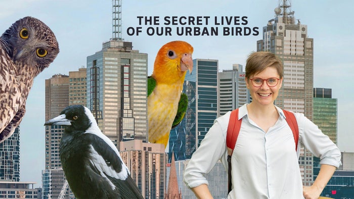 The Secret Lives of Our Urban Birds Episode No.2 on JioTV
