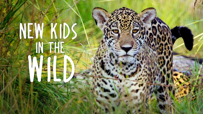 New Kids in the Wild Episode No.4 on JioTV