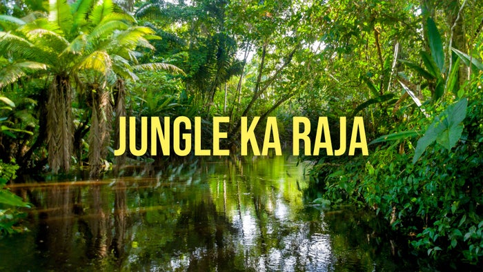 Jungle ka Raja on JioTV