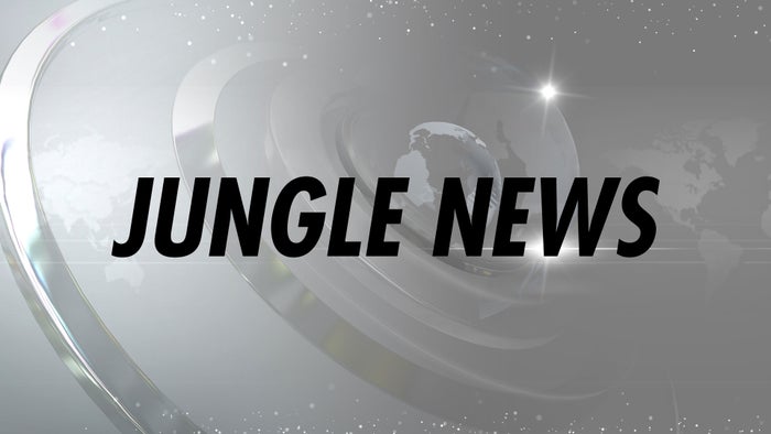 Jungle News on JioTV