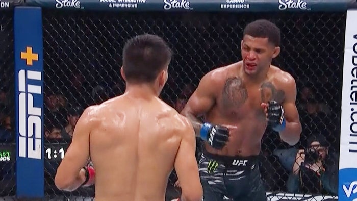 UFC 316 - Dvalishvili vs O'Malley 2 on JioTV