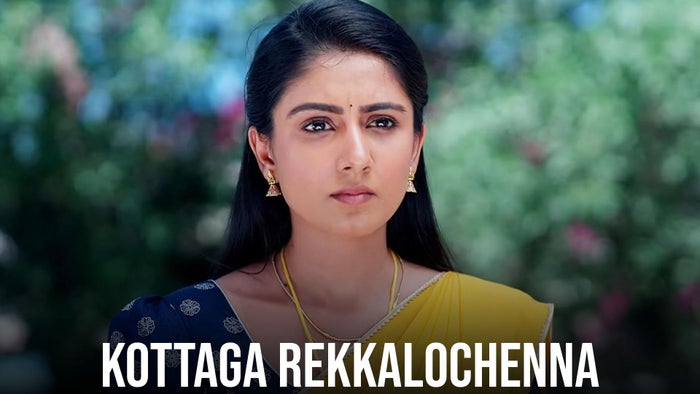 Kottaga Rekkalochenna Episode No.688 on JioTV