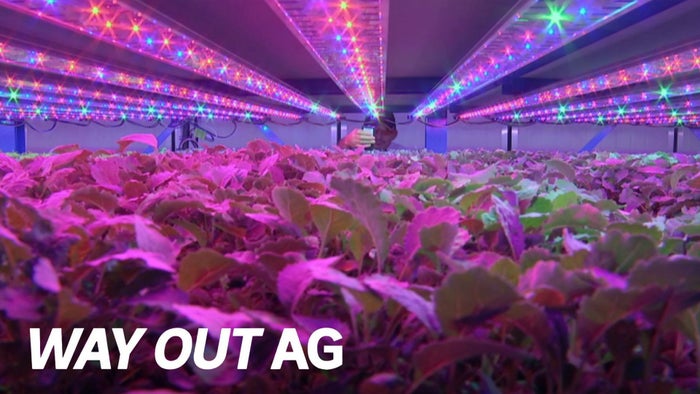 Way Out AG Episode No.1 on JioTV