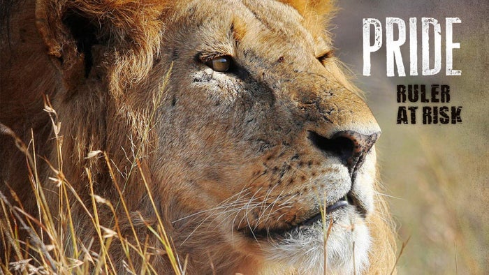 Pride -- Rulers at Risk on JioTV