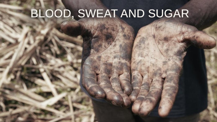 Blood, Sweat and Sugar on JioTV